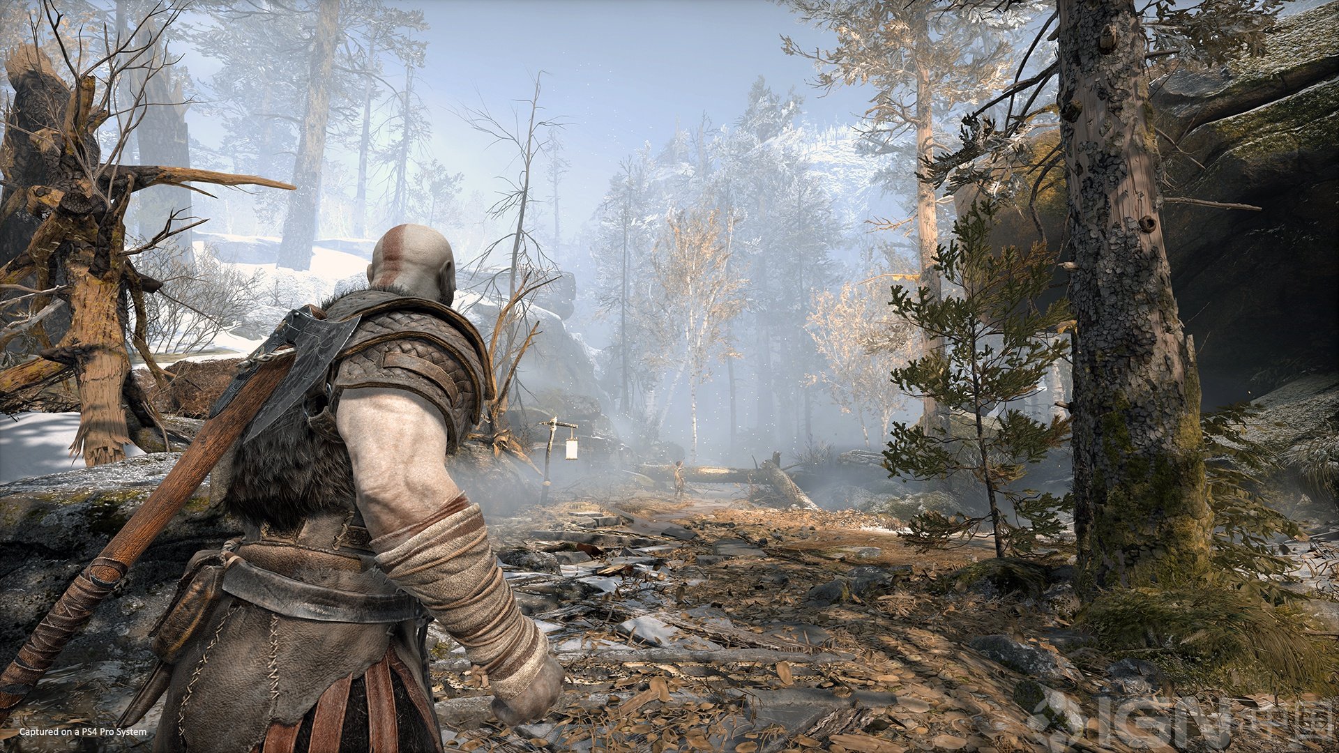 艾尔登法环 终极版 截图5