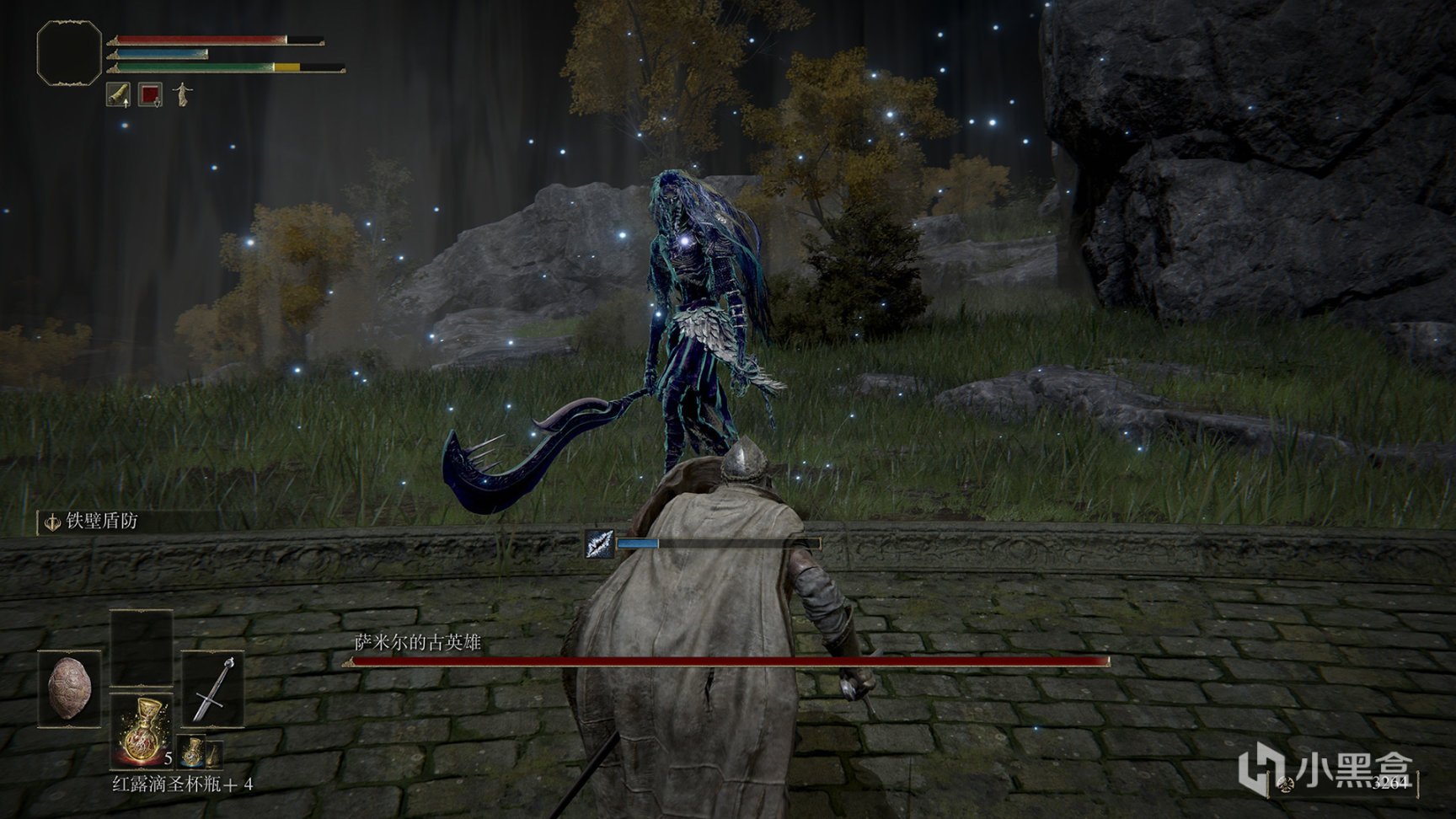 艾尔登法环 终极版 截图14